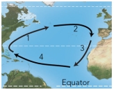 For these ocean currents in the Atlantic,which of these currents is mostly likely to be a cold current?   A) 1 B) 3 C) 4 D) both 1 and 3 E) both 2 and 4