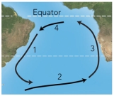 For these ocean currents in the South Atlantic,which of these currents is mostly likely to be a warm current?   A) 1 B) 2 C) 3 D) both 1 and 3 E) both 2 and 4