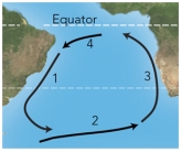 For these ocean currents in the South Atlantic,which of these currents is mostly likely to be a cold current?   A) 1 B) 3 C) 4 D) both 1 and 3 E) both 2 and 4