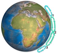 Arrows on this figure shows flow cells in the atmosphere.Which area(s) would most likely be a desert?   A) 1 B) 2 C) 3 D) 1 and 2 E) 1 and 3