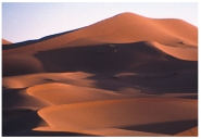 The sand dunes shown in this photograph:   A) are isolated and have well-defined crescent shapes B) formed in a wet climate based on their shape C) are part of a complex dune field D) are loess deposits E) are inactive because they have been eroded by running water