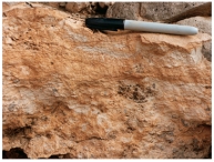 This photograph shows an accumulation of calcium carbonate in the soil.What desert feature is it?   A) alluvial fan B) playa C) caliche D) desert wash E) natural stain