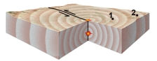 What do the two stars near the center of this block represent?   A) the location of the earthquake B) the star at depth is the place where the earthquake is generated C) the star at depth is the hypocenter D) the star on the surface is the epicenter E) all of these