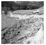 The fault scarp in this photograph apparently formed:   A) when an earthquake rupture offset the surface B) when the area beneath the car was dropped down relative to the area to the left C) more than 50 million years ago D) when material on the left was compacted E) all of these