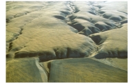 What feature suggests that this is a strike-slip fault rather than some other kind of fault?   A) the presence of a fault scarp B) the soft appearance of the landscape C) the horizontal offset of the drainage channel D) differences in vegetation across the fault E) the lack of human development