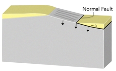 If you had this type of deformation of a region,it would:   A) thicken the crust and cause subsidence B) thicken the crust and cause uplift C) thin the crust and cause subsidence D) thin the crust and cause uplift E) none of these