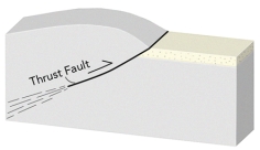 If you had this type of deformation of a region,it would:   A) thicken the crust and cause subsidence B) thicken the crust and cause uplift C) thin the crust and cause subsidence D) thin the crust and cause uplift E) none of these