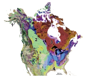 Which numbered area on this geologic map of North America would contain the oldest rocks exposed at the surface?   A) 1,southern Alaska B) 2,continental platform of west-central Canada C) 3,continental shield of eastern Canada D) 4,coastal plain along the Gulf Coast of the U.S.