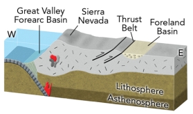 What geologic setting is expressed by the formation of the Sierra Nevada and adjacent features?   A) a continental collision east of (to the right of) the Sierra Nevada B) an ocean-continent convergent zone C) a continental rifting event east of (to the right of) the Sierra Nevada D) continental rifting west (to the left of) of the Sierra Nevada