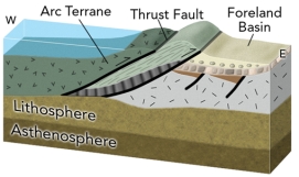 What geologic events are expressed in this cross section of the western U.S.in late Paleozoic - early Mesozoic time?   A) an old episode of continental rifting that lead to a passive margin B) collision of an island arc with western North America C) oceanic crust and sediment that was thrust onto North America D) a basin formed by the weight of thrust sheets E) all of these