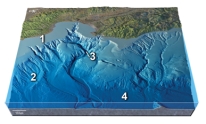 Which of the numbered features on this figure is a continental shelf?   A) 1 B) 2 C) 3 D) 4