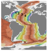 This figure shows ages of seafloor.Which of the numbered sites is on the deepest seafloor,based on its position?   A) 1 B) 2 C) 3 D) 4