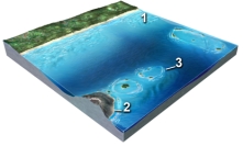 Which of these numbered features is an atoll?   A) 1 B) 2 C) 3 D) all of these E) none of these