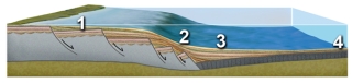Which of these numbered features is over continental crust that has been the most thinned by rifting?   A) 1 B) 2 C) 3 D) 4 E) none of these