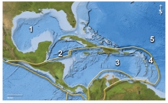 This map shows plate boundaries in the Caribbean region.Which number is closest to a subduction zone that has formed an island arc?   A) 1 B) 2 C) 3 D) 4 E) 5