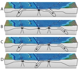 Based on the features of the ocean floor in this figure,which cross section is the most appropriate match?   A) cross section A B) cross section B C) cross section C D) cross section D