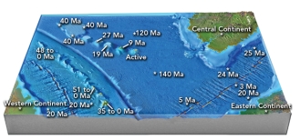 How wide do you think the narrow ocean between the central and eastern continents will be 20 million years in the future?   A) nearly twice as wide as it is today B) a little wider than today C) same width as today D) much narrower than today