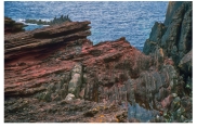 What type of feature is shown in this photograph of Siccar Point,Scotland?   A) monocline B) thrust fault C) normal fault D) unconformity