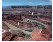 Which numbered layer in this photograph represents the youngest layer?   A) 1 B) 2 C) 3 D) 4