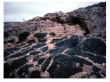 This photograph shows an upper light-colored conglomerate and a lower dark basalt.Which of the following statements is true?   A) the conglomerate is older because it overlies the dark basalt B) the conglomerate is younger because it contains clasts of the dark basalt C) the basalt is younger because it is crosscut by fractures filled with conglomerate D) none of these