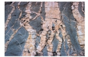 This photograph shows light-colored granite and darker diorite (both igneous rocks) .Which of the following statements is true?   A) the light-colored unit is younger because granite is more continental than diorite B) the diorite is older because its weathered surfaces are darker C) the granite is younger because it crosscuts the diorite D) all of these