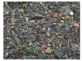 What kind of geologic feature is shown in this photograph?   A) contact metamorphism B) unconformity C) desert varnish D) desert pavement E) none of these
