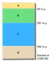 This figure shows the main subdivisions of the geologic timescale.Which of these is the Mesozoic?   A) A B) B C) C D) D