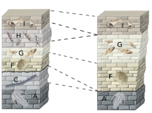 Unit C is present in the left column but not the right column because:   A) rocks in the right column were tilted and eroded B) it was not deposited or was eroded away C) it has different kinds of fossils than rocks in the right column D) all of these