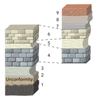 This figure shows two sections that partially overlap in age.Dashed lines show how the two sections correlate.What can you conclude from these correlations?   A) the oldest unit is unit 4 B) the youngest unit is unit 6 C) the rate at which unit 5 was deposited was constant across the area D) the left section represents older rocks than the right section E) none of these
