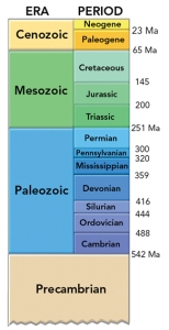 This figure shows the geologic timescale.Which period listed below would be part of the Mesozoic?   A) Neogene B) Jurassic C) Pennsylvanian D) Mississippian E) Cambrian