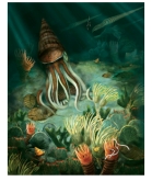 This art work shows life on the sea bottom,at a time when fishes and creatures with shells appeared on Earth.What time period is represented?   A) Mesozoic B) Cenozoic C) Precambrian D) Paleozoic