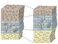 If you were trying to correlate these two sequences of rocks,what would probably be the most straightforward strategy to use?   A) determine numeric ages on pieces of rock in the landslide on top B) compare the fossils of the middle layers C) compare the thicknesses of the middle layer D) compare the thicknesses of the lower layer