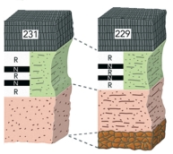 Which of the following would be LEAST useful in correlating the ages of these two sequences of rocks?   A) numeric ages on the volcanic rocks on top B) the pattern of magnetic reversals (R and N)  C) the overall sequence of the upper three layers D) the type of material present in the landslide at the bottom of the right column