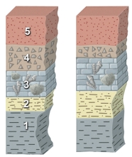 This figure shows two sections of rocks.Which of the following is NOT a valid way to correlate one of the numbered units from one section to another?   A) Units at the top of two sections will automatically be correlative. B) A distinctive rock type (breccia in unit 4) is probably equivalent to the same rock type in the other section. C) Match units that contain the same types of index fossils (as in unit 3) . D) The shale in unit 2 is part of a distinctive sequence that is overlain by the same type of fossils.