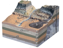 Of the following numbered units,which is the youngest?   A) a sedimentary layer (2)  B) the fault and fault scarp (3)  C) a sedimentary layer (5)  D) the volcano and lava flow (9)  E) the highest sedimentary layer (11) 