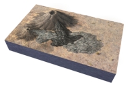 Which of the following might help determine the age of the volcanic features in this figure?   A) numeric ages B) how well the shapes of the volcanoes are preserved C) how well developed soil is on the lava flows D) all of these