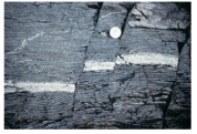 What type of deformation is shown in this photograph?   A) displacement B) rotation C) internal strain of the rock D) columnar joints