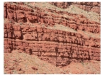 What types of structures are shown in this photograph?   A) joints B) normal faults C) reverse faults D) anticlines E) synclines