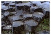 How did the joints in this photograph form?   A) from uplift B) from burial C) from tectonics D) from weathering E) from cooling