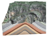 What type of structure is shown in this figure?   A) thrust fault B) anticline C) syncline D) monocline E) basin
