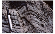 What type of metamorphic feature is shown in this photograph?   A) thrust fault B) normal fault C) cleavage D) hornfels