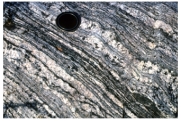 What type of metamorphic feature is shown in this photograph?   A) cleavage in slate B) hornfels C) foliation in banded gneiss D) thrust fault
