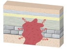 What type of metamorphism would occur in this setting?   A) regional metamorphism B) contact metamorphism C) subduction D) thrust faulting