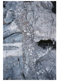 What type of feature is shown in this photograph?   A) fault scarp B) columnar joints C) cleavage D) hogback E) fault zone