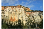 What features are shown in this photograph of unmetamorphosed sandstone?   A) faults B) folds C) cleavage D) foliation E) joints