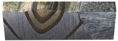 What type of fold is shown on this cross section?   A) anticline B) syncline C) monocline D) gneiss dome