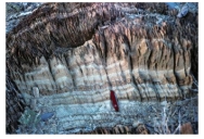 This light-colored rock is composed of finely crystalline calcite.It also contains metamorphosed fossils and cleavage.What is the correct name for this rock?   A) greenstone B) quartzite C) marble D) deformed granite