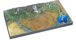 Which of the following sites would have sand and silt deposited by slowing of the current?   A) mountains at A B) glacial streams at B C) braided river at C D) delta at D E) lake at E