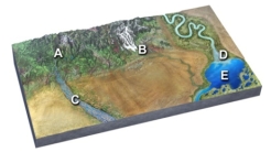 Large,angular clasts are most likely at:   A) mountains at A and glaciers at B B) glaciers at B and braided river at C C) braided river at C and delta at D D) delta at D and lake at E