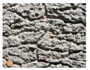 What type of weathering is best expressed in this weathered limestone?   A) oxidation B) dissolution C) hydrolysis D) biologic activity